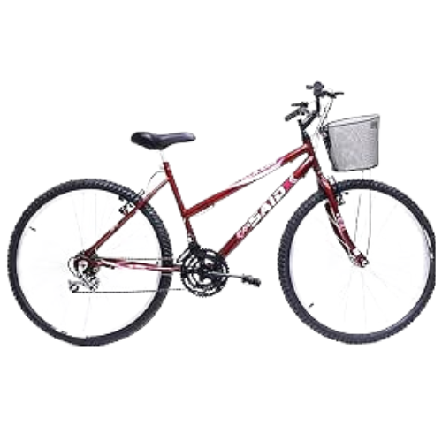 Bicicleta Feminina