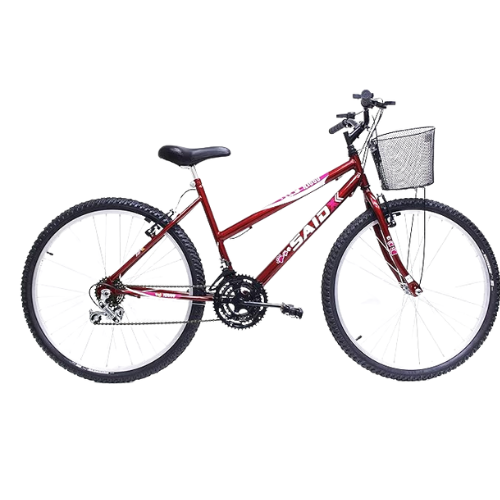 Bicicleta Feminina